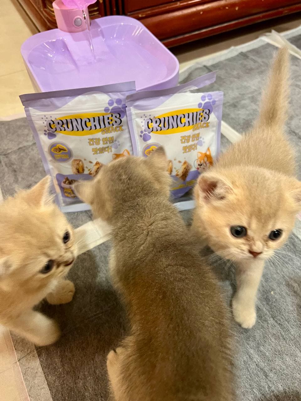 Sarah Johnson review